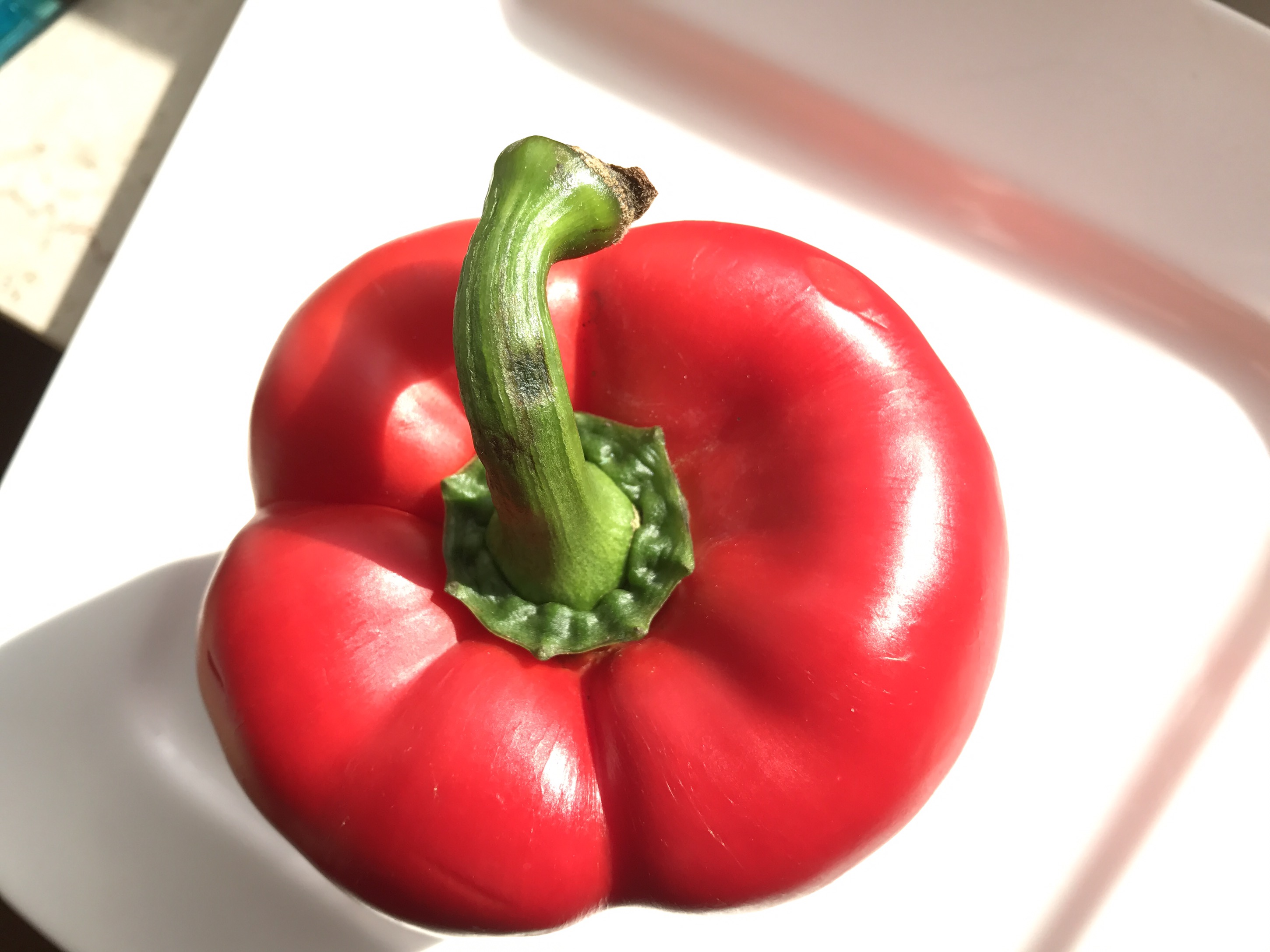 Paprika Zu Faul Zum Kochen