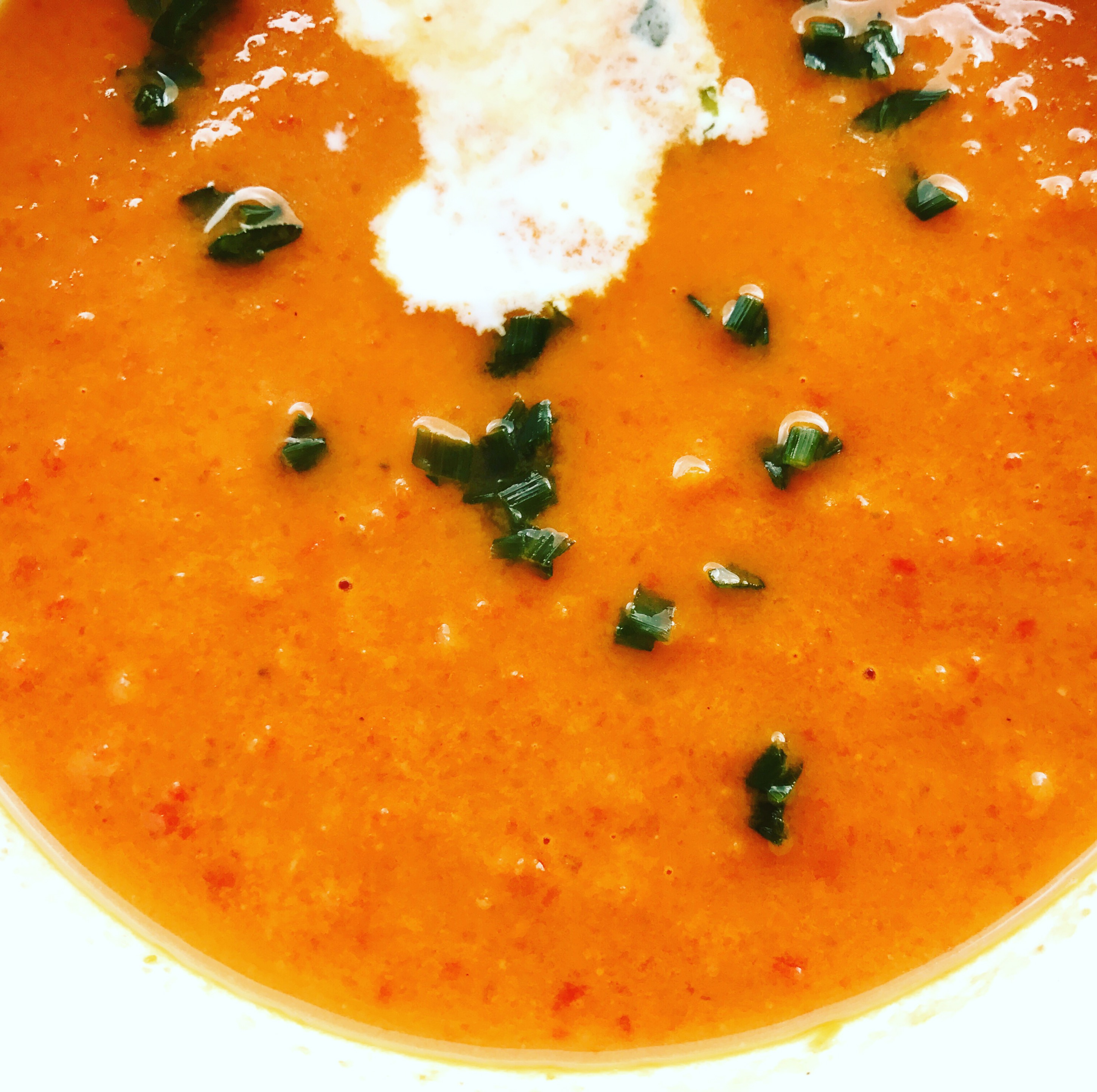 Leichte Paprika Tomaten Ingwer Creme Suppe